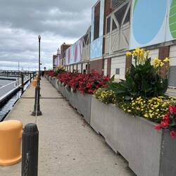 Walking around the Navy Pier in Chicago