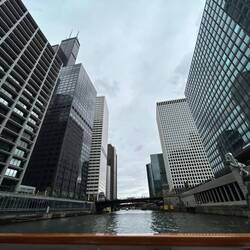 Taking Rosie along the Chicago River