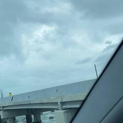 Baustelle nebenan wo eine "höhere Brücke gebaut wird