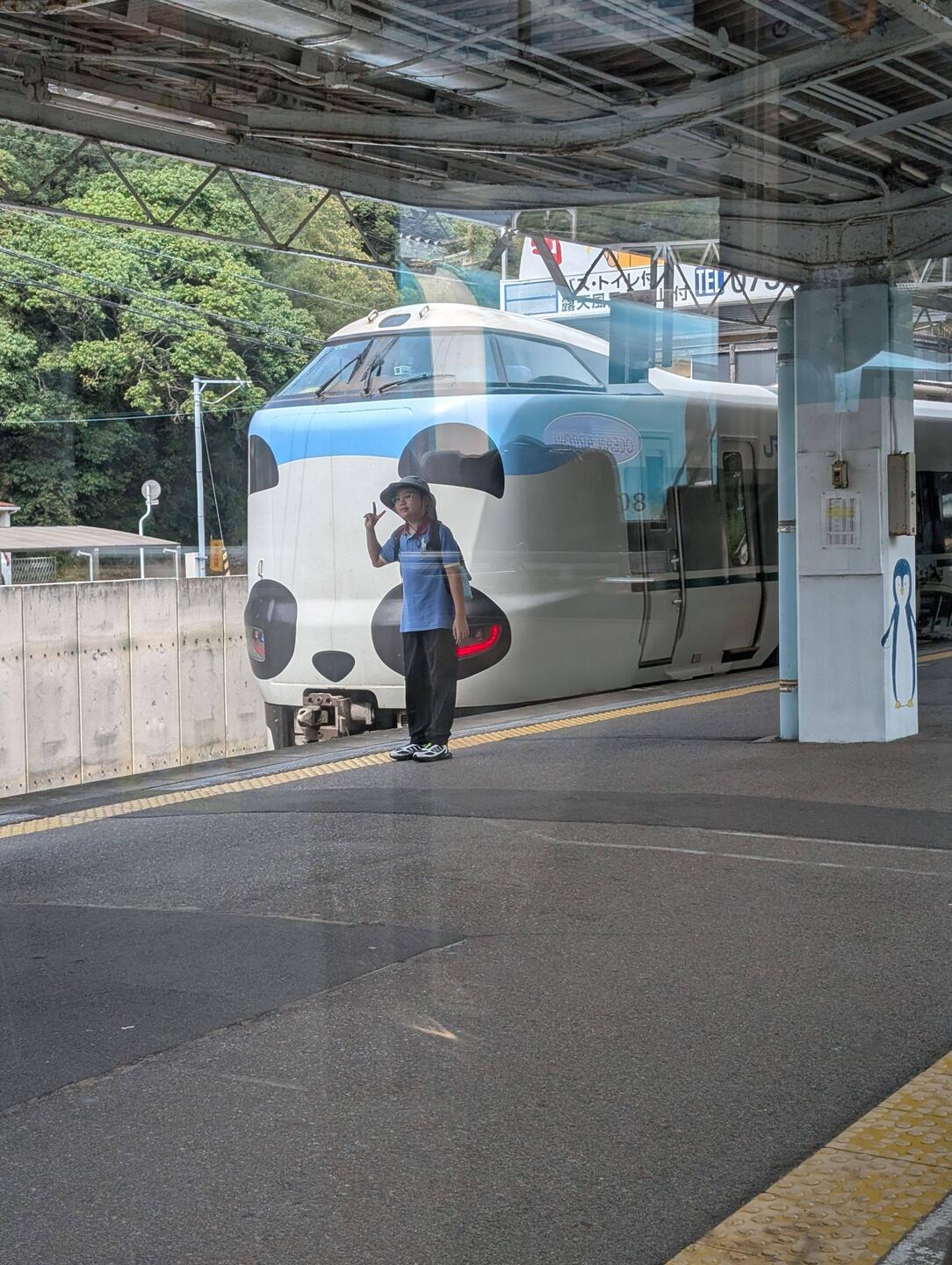 Panda limited express - one down from Shinkansen (bullet train)