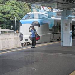 Panda limited express - one down from Shinkansen (bullet train)