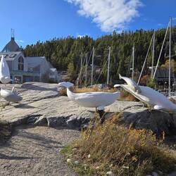 Display outside the whale museum