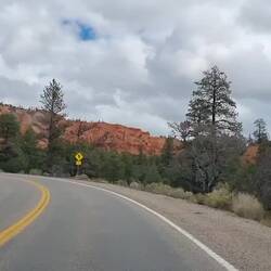 Dixie Nationalforest