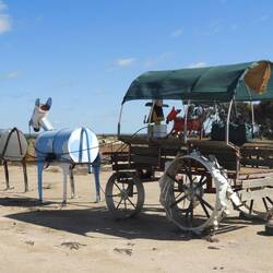 A few of the tin horse sculptures near Kulin