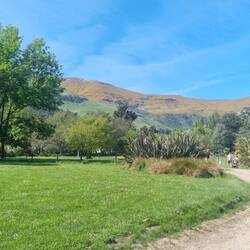 This typical of the whole park. It's really lovely.