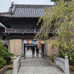 Temple 19