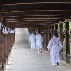 Oder ein 400 m langer Korridor von der anderen Seite