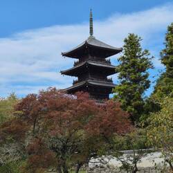 Pagode mit erstem Herbstlaub
