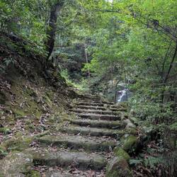 Ein alter Pflasterweg