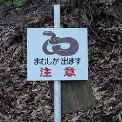 Schlangen? Kann ich nicht lesen... 😇