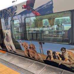 Mein Zug nach Kii-Tanabe