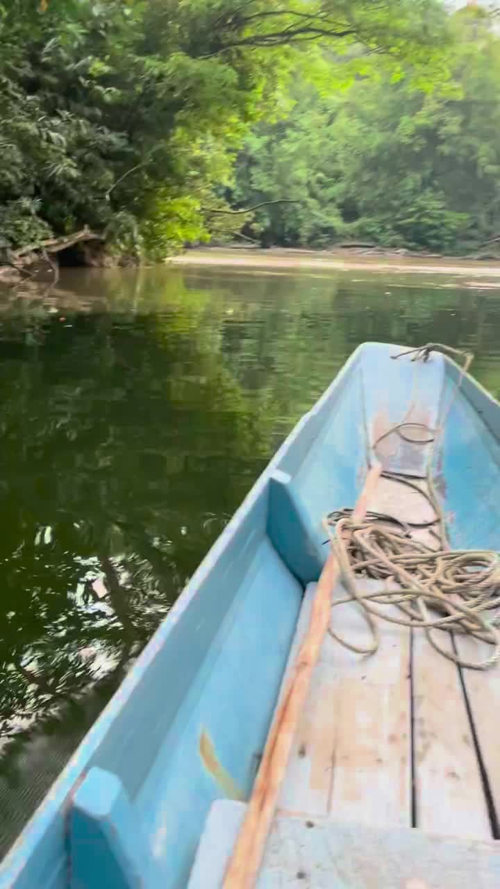 Long Lasat vs. Tutoh