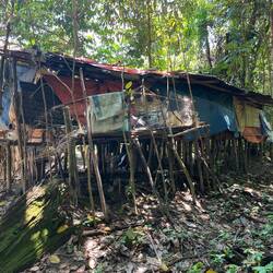 So haben die Penan ursprünglich im Wald gewohnt, einfach ohne Blech und Plastik