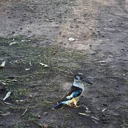 Der Vogel hatte auch Hunger 🐦 ☺️