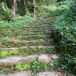 And more stairs around every curve