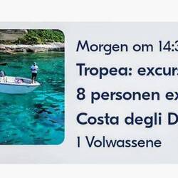 Zin in