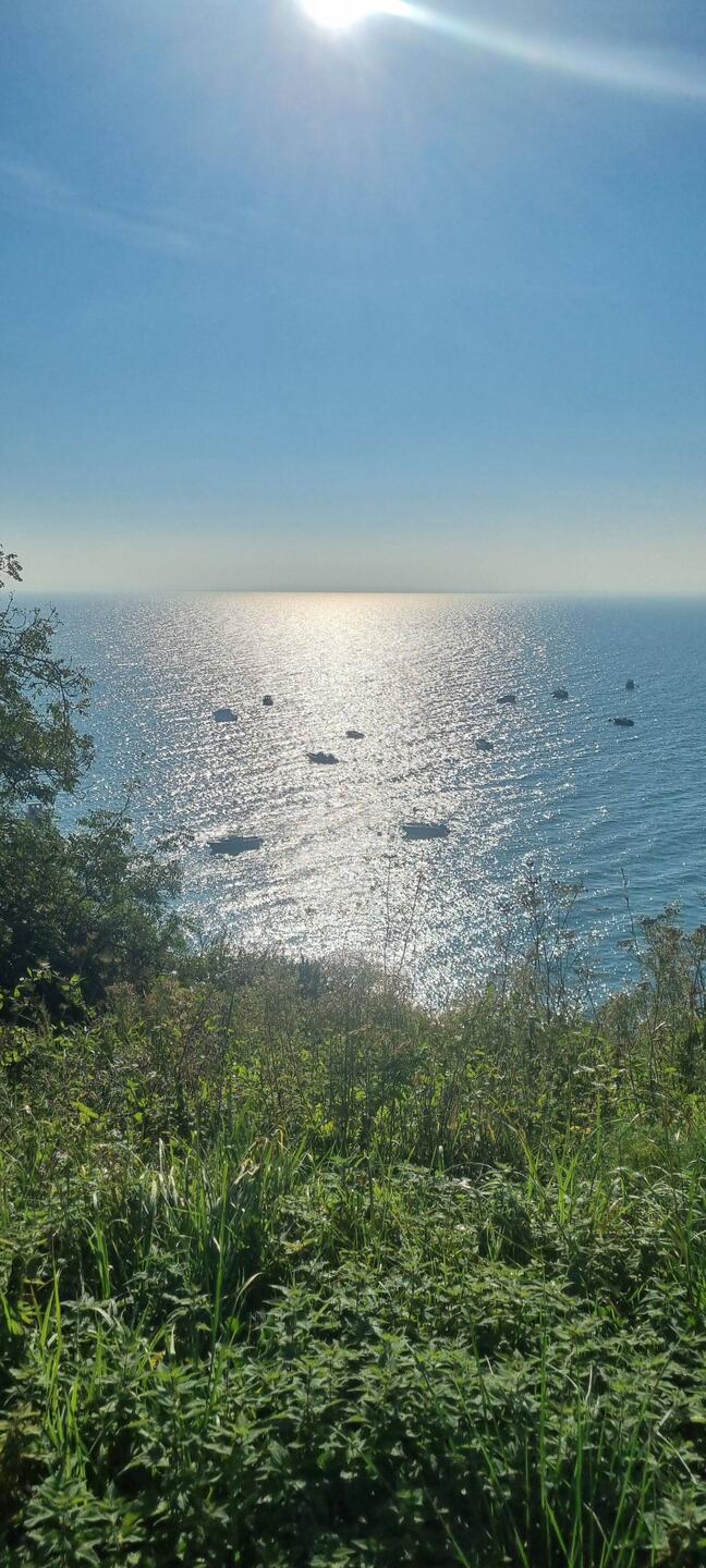 Au revoir Cancale