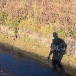 Frog invasion! This is one of the craziest things I've ever seen!