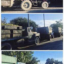 LKWs vollbeladen mit Weintrauben