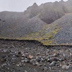 This is a panoramic, not sure whether FindPenguins knows how to handle this...