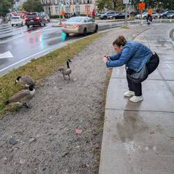 Kylie getting too close to the natives