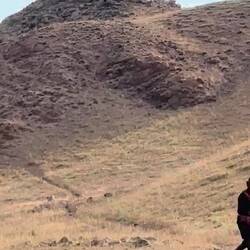 The apprentice on the mountain released the golden eagle