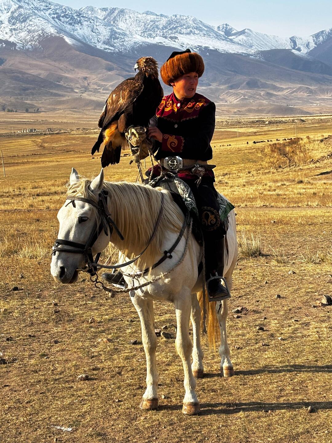 The eagle hunter