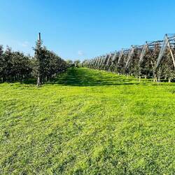 Fruta de gran calidad cultivada con respeto por la naturaleza.