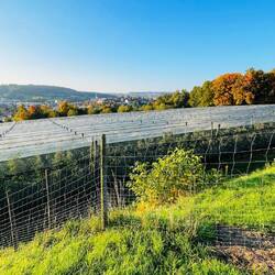 Un rincón de tradición agrícola