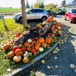 Productos típicos del otoño: vino nuevo, pan crujiente y calabazas doradas.