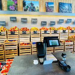 Manzanas frescas cosechadas a mano, directamente del huerto familiar Hertle.