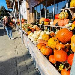 Calabazas de todos los tamaños y colores