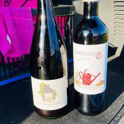 Vino nuevo, joven y afrutado, ideal para celebrar el comienzo del otoño.