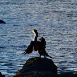 Trocknen in der Abendsonne