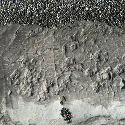 Die Steine am Stand sehen aus wie Hasnköttel... alle rund!