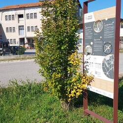 Eine Mühle, die seit 500 Jahren läuft