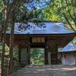 Temple 20