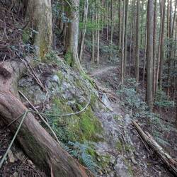 Roped path