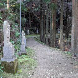Buddhas line the path to T22