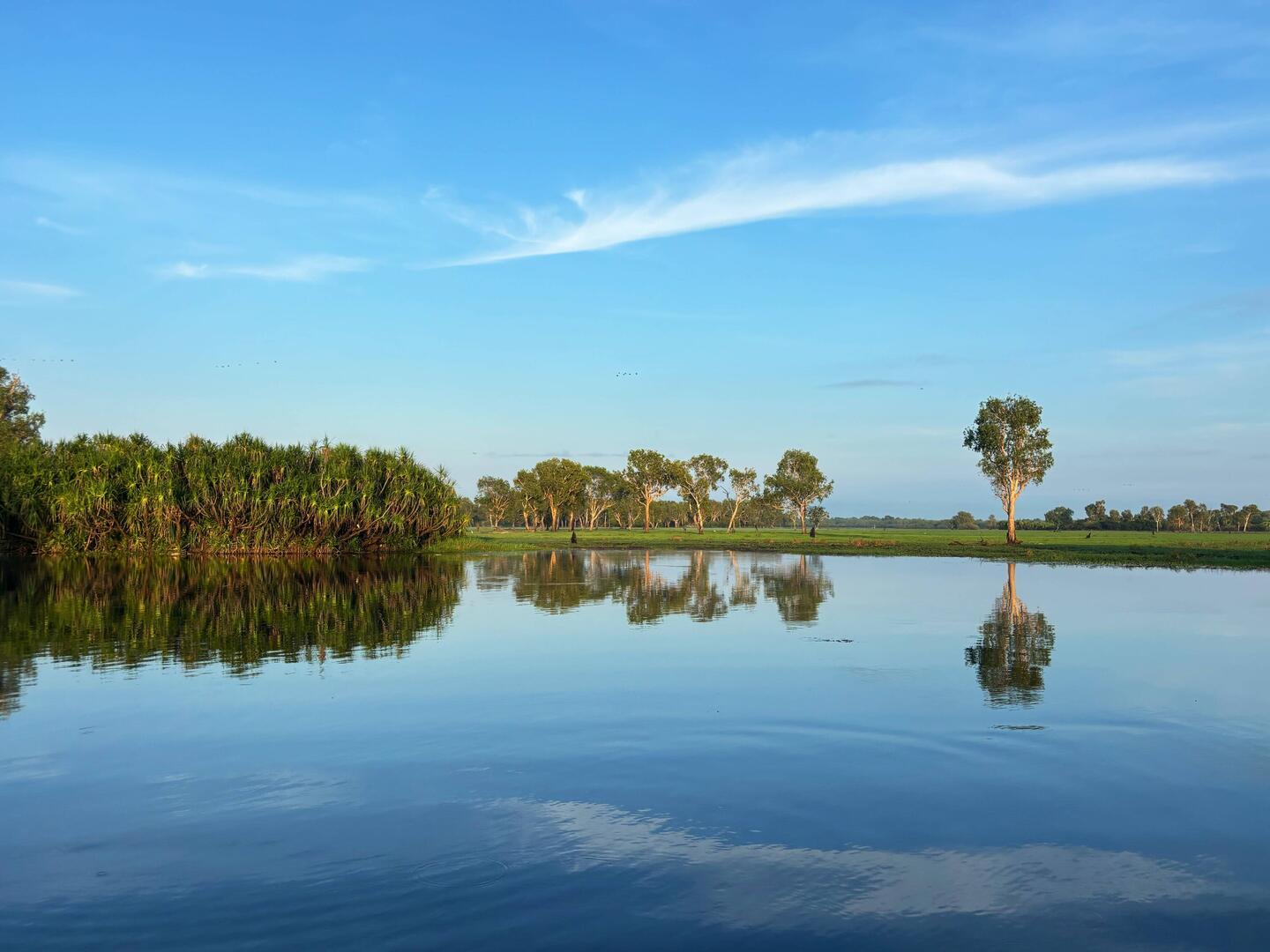 Yello Water Cruise 6:45 Uhr