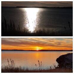 Vom Fenster raus ... 🌅 Ich genieße die letzten Tage ...