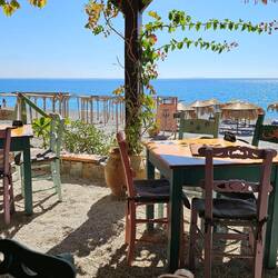 Taverne Tzitziki in Sougia 😋