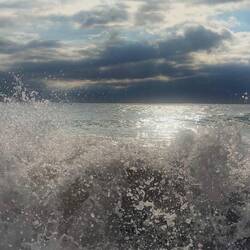 JP hat das Auge für tolle Fotos