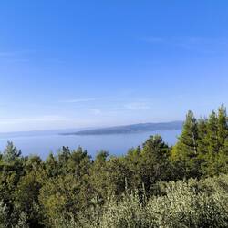 Insel Brac