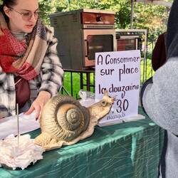 Snails at the artisanal market.