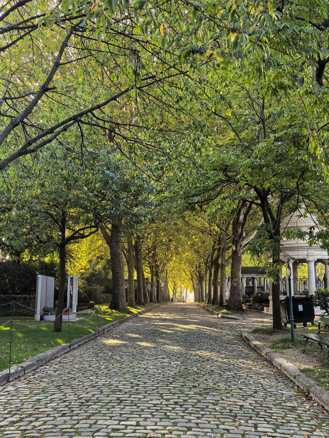 Avenue in Pere Lachaise Cemetery.