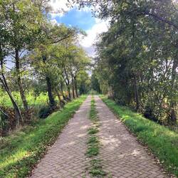 Tussen Dokkum en Damwâld