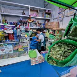 Coca Blätter - zum Wandern und gegen Höhenkranheit