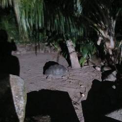 Unser Hotelhaustier.