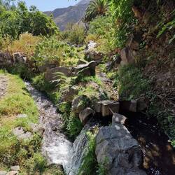 Bewässerungsgräben